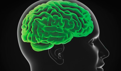 Brain 8 7.jpg thumbnail