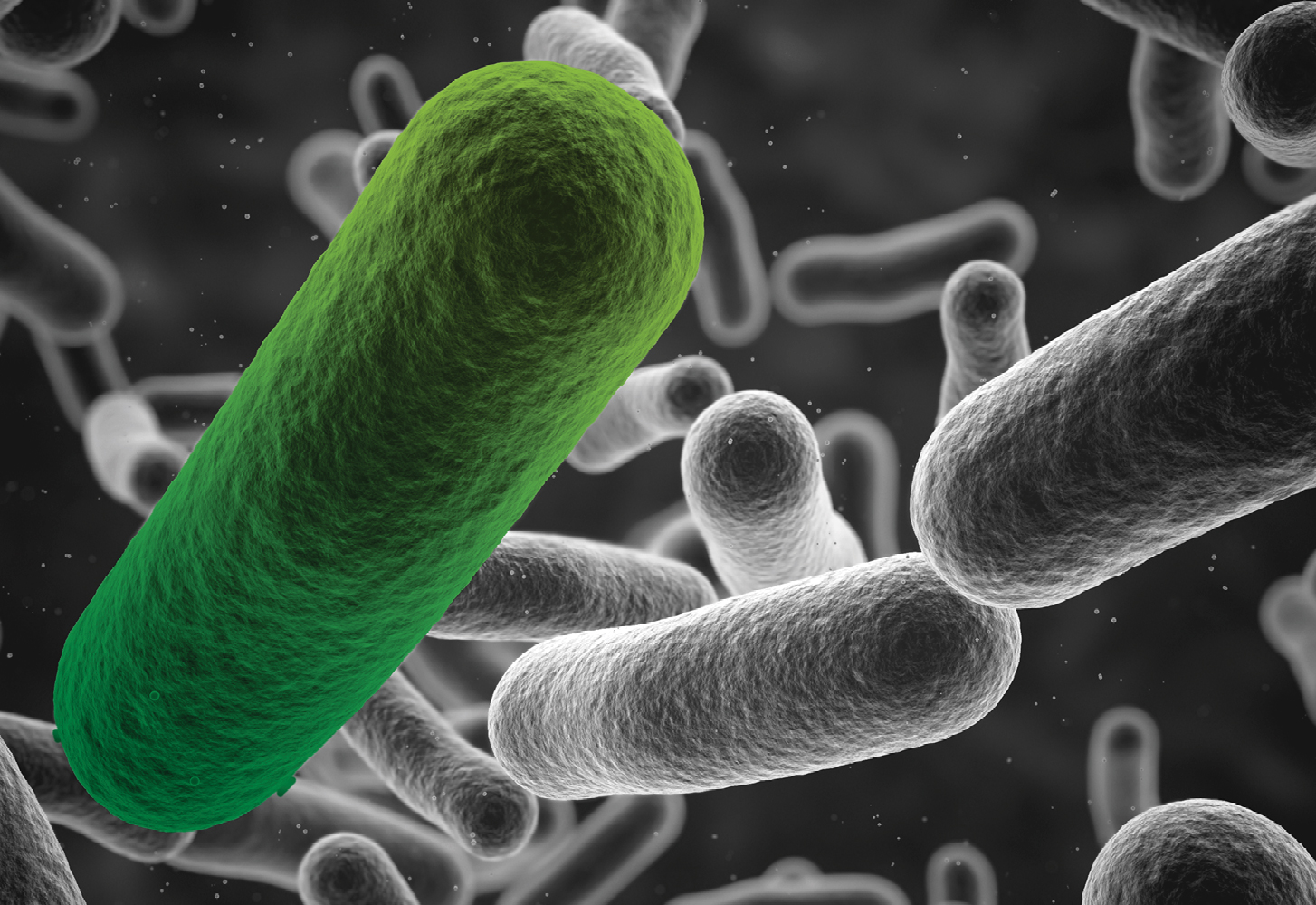 Budapest treaty thumbnail8