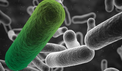 Budapest treaty thumbnail8