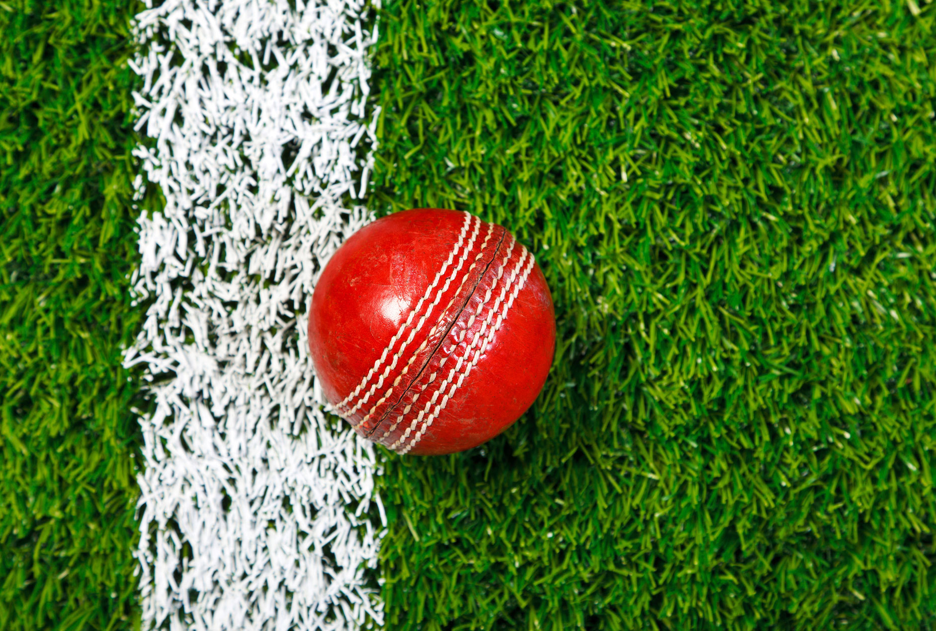 Cricket ball on grass thumbnail