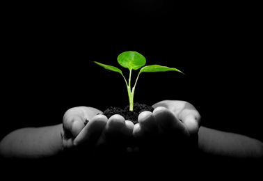 Food integrity an honest brand is worth protecting tile3