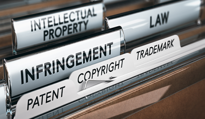 Intellectual property files thumbnail15
