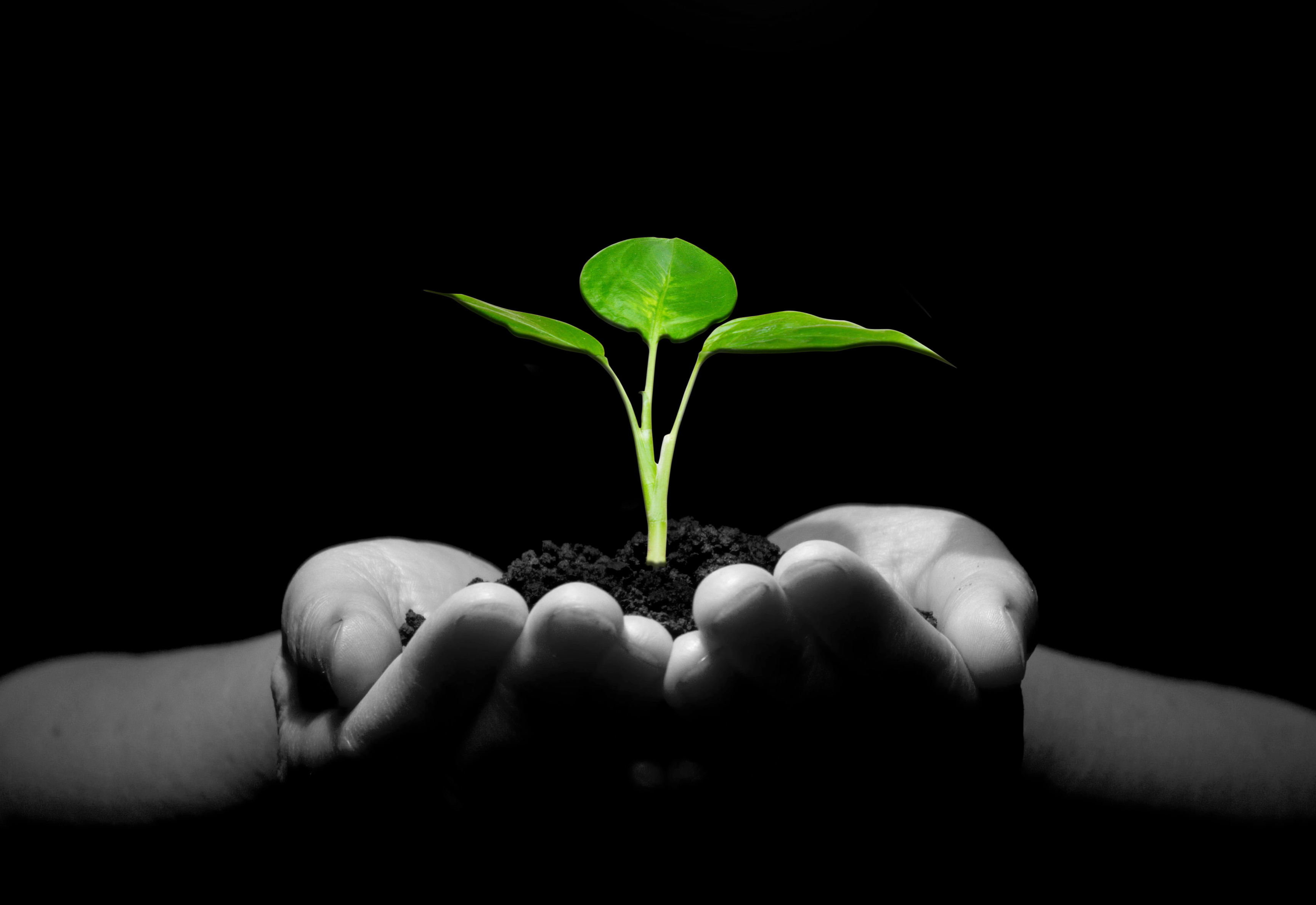 PVR Act review thumbnail