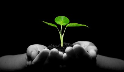 PVR Act review thumbnail