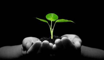 Review of PVR Act thumbnail4