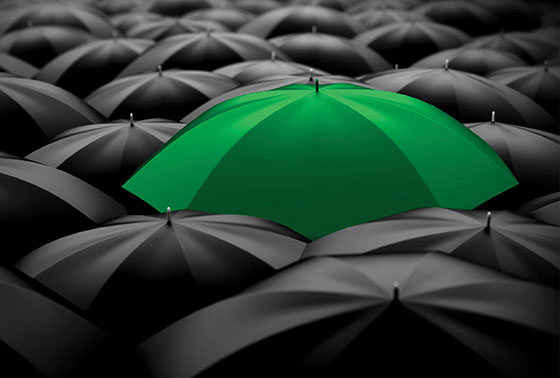 Umbrellas 1600x1000.jpg tumb